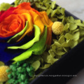 colores / tintes para flores reales / plantas / flores secas / PreservedFreshFlower